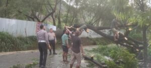 Anggota Polres Jayapura Sigap Bersihkan Pohon Tumbang Akibat Hujan Deras