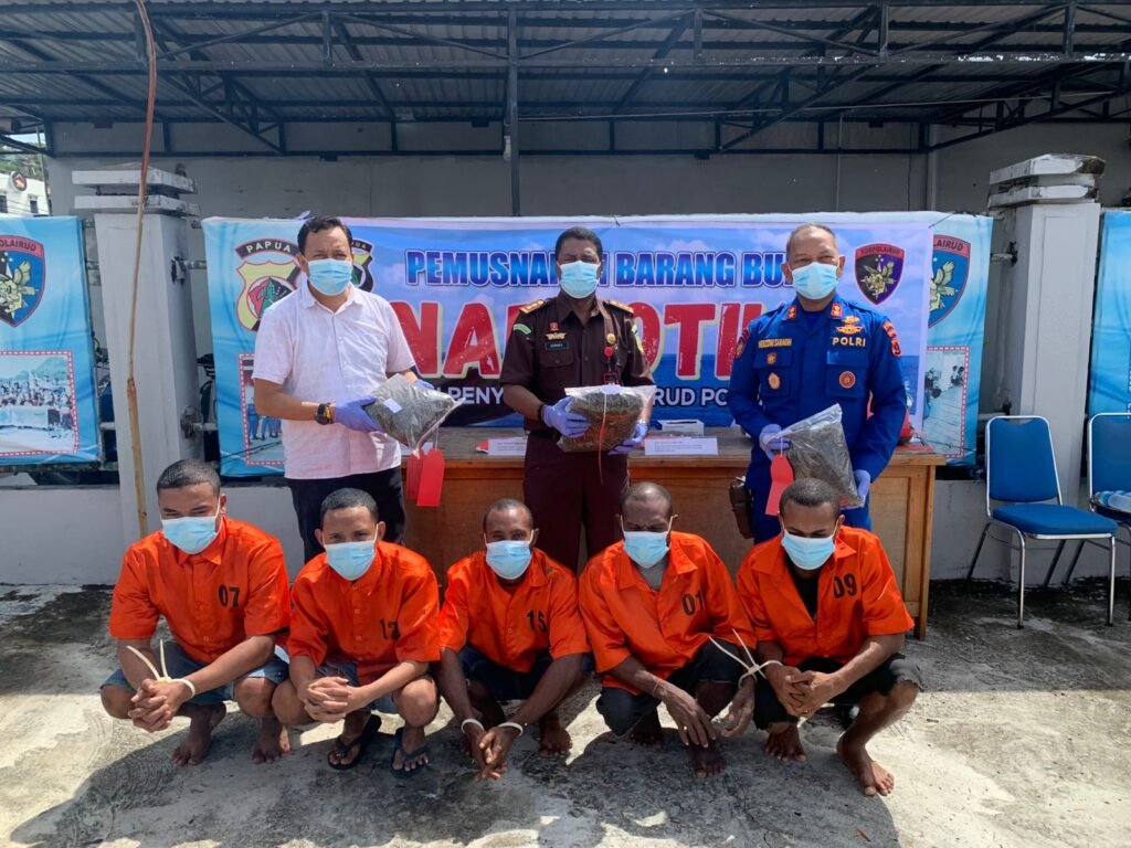 Polda Papua Musnahkan Barang Bukti Narkotika Jenis Ganja
