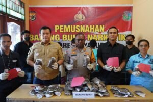Polres Jayapura Polda Papua Musnahkan Barang Bukti Ganja dan Sabu Hasil Pengungkapan Kasus