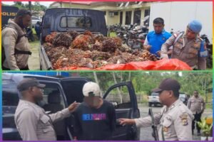 Polsek Arso Timur Polda Papua Berhasil Amankan Pelaku Pencurian Buah Sawit