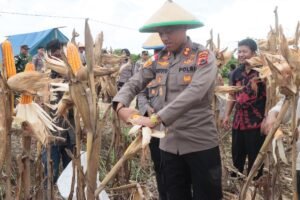 Sinergi Polri Dan Petani Lokal Dukung Ketahanan Pangan Nasional