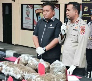 Tiga Tersangka yang Diamankan Karena Bawa Ganja 7,5 Kg, Seorang Diantaranya Adalah WNA Asal PN