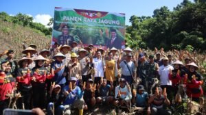 Polda Papua Gelar Panen Raya Jagung, Wujud Nyata Dukung Ketahanan Pangan Nasional