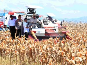 Presiden Prabowo Bahagia Bisa Panen Raya Jagung Bersama Polri