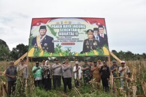 Polda Papua Barat Gelar Panen Raya Jagung Serentak Kuartal II