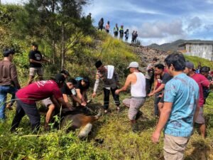 Ribuan Muslim Lanny Jaya Sholat Idul Adha Bersama TNI-Polri, Wujud Sinergi dalam Keamanan dan Kebersamaan