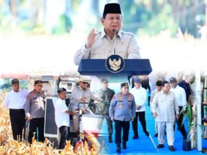 Presiden Prabowo Senang Panen Raya Jagung Inisiasi Polri Berhasil