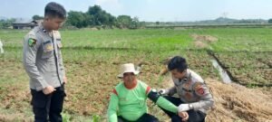 Bripda Iqbal dan Kisah Pengabdian di Ladang