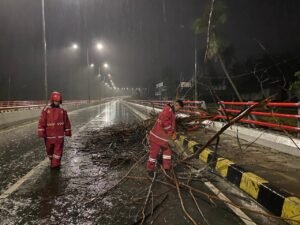 Personel Unit SAR Dit Samapta Polda Papua Lakukan Pembersihan Pohon Tumbang di Jembatan Merah