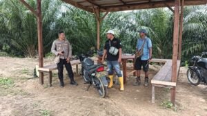 Polsek Bomberay Aktif Dukung Ketahanan Pangan Lewat Pemantauan Tanaman Jagung di Lahan Perkebunan