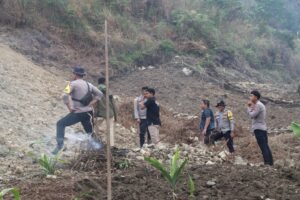 Peduli Asta Cita Pangan, Kapolres Tolikara Survei Langsung Lahan Penanaman Bibit Jagung