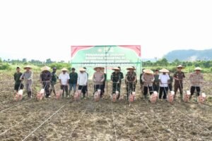 Wakapolda Papua Pimpin Penanaman Jagung Serentak di Keerom, Wujud Dukung Ketahanan Pangan Nasional