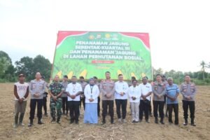 Polda Papua Barat Laksanakan Kegiatan Penanaman Jagung Serentak di Kampung Macuan