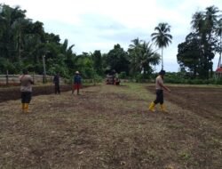Wujud Nyata Kepedulian, Polsek Pantai Timur Perluas Kebun Ketahanan Pangan