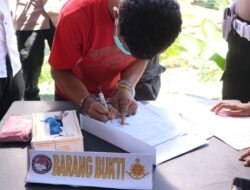 Polres Fakfak Musnahkan Barang Bukti Narkotika Jenis Ganja