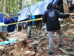 Penertiban Penambangan Emas Ilegal Di Papua Barat Tidak Pernah Berhenti 49 Tersangka Diamankan, Puluhan Jalani Sidang