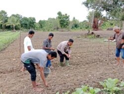 Bhabinkamtibmas Bersama Kelompok Tani Tunas Harapan Mulai Tanam Jagung di Kampung Vascodamnem