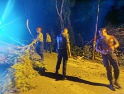 Sinergi Polri dan Masyarakat Bersihkan Pohon Tumbang di Belakang RS Bhayangkara