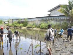 RRI Jayapura dan Polda Papua Tanam Mangrove Sambut Hari Bakti ke-80