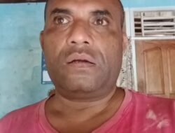 Tim MDF-AR Ucapkan Selamat kepada Gubernur dan Wakil Gubernur Papua Terpilih