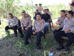 Panen Raya Jagung Kuartal III, Polres Sarmi Polda Papua Tegaskan Komitmen Dukung Petani
