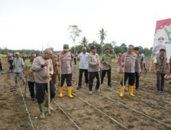 Polda Papua Barat Gelar Penanaman Jagung di Lahan Kelompok Tani Margo Mulyo