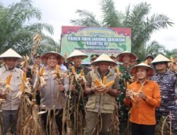 Kapolres Fakfak Pimpin Panen Raya Jagung Serentak Dukung Swasembada Pangan