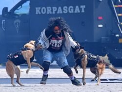 Delapan Dekade TNI: Kekuatan, Profesionalisme, dan Sinergi TNI-Rakyat