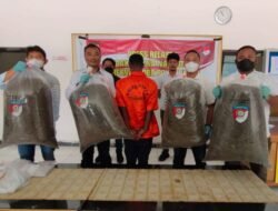 Polda Papua Amankan Warga Negara PNG Kepemilikan 21 Kg Ganja