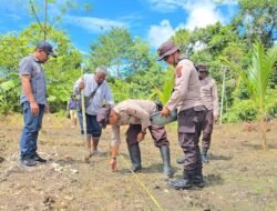Polsek Fakfak Gencar Gerakan Ketahanan Pangan, Tanam Jagung Hibrida Wujudkan Swasembada Nasional