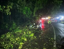 Aksi Cepat Personel Polda Papua Atasi Gangguan Akibat Angin Kencang