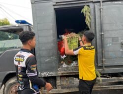 Polres Tolikara Gelar Kerja Bakti Bersihkan Mako, Wujudkan Lingkungan Kerja Bersih dan Nyaman