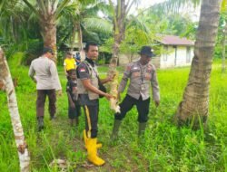 Polsek Kimaam Gelar Razia Sagero, Puluhan Mayang Kelapa Berhasil Diamankan