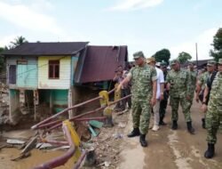 Wakil Panglima TNI Tinjau Wilayah Terdampak Banjir di Sumut dan Sumbar