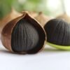 Black Garlic, Solusi Sangat Penting bagi Kesehatan