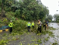 Satgas Kamseltibcarlantas Operasi Lilin Cartenz 2025 Cepat Tanggap Atasi Pohon Tumbang di Jayapura