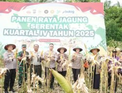 Dukung Ketahanan Pangan Nasional, Polda Papua Barat Gelar Panen Raya Jagung Serentak Kuartal IV Tahun 2025