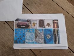 Satresnarkoba Polres Merauke Ungkap Kasus Peredaran Narkotika Jenis Ganja