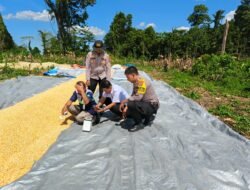 Polres Keerom Dukung Ketahanan Pangan, Dampingi Uji Kadar Air Jagung Kelompok Tani Agro Makmur