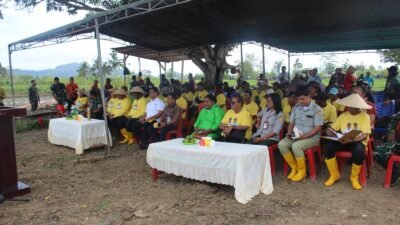 Dukung Ketahanan Pangan Nasional, Pemprov Papua dan Pemkot Jayapura Gelar Penanaman Padi Perdana di Muara Tami