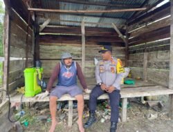 Polsek Nimbokrang Dampingi Petani Rawat Lahan Jagung, Perkuat Ketahanan Pangan di Kabupaten Jayapura