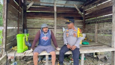 Polsek Nimbokrang Dampingi Petani Rawat Lahan Jagung, Perkuat Ketahanan Pangan di Kabupaten Jayapura