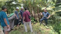 Pembangunan Jembatan Perintis Garuda di Rap-Rap Mulai Dikebut, Dukung Akses dan Perekonomian Warga