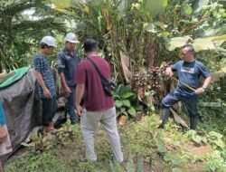 Pembangunan Jembatan Perintis Garuda di Rap-Rap Mulai Dikebut, Dukung Akses dan Perekonomian Warga