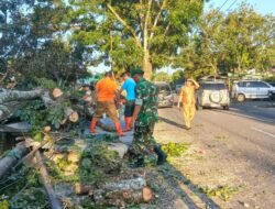 Atas Kesigapan Babinsa Jajarannya Atasi Bencana Pohon Tumbang, Dandim 1310/Bitung Beri Apresiasi