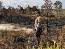 Kebakaran Hutan dan Lahan Terjadi di Distrik Tomage, Polsek Bomberay Lakukan Penanganan Cepat