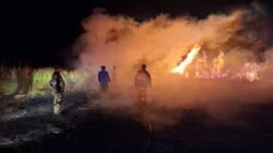Personel Kodim 1310/Bitung Bersama Tim Damkar Pemkab Minut, Sigap Bantu Padamkan Kebakaran Lahan PT. FOI di Desa Wineru