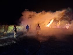 Personel Kodim 1310/Bitung Bersama Tim Damkar Pemkab Minut, Sigap Bantu Padamkan Kebakaran Lahan PT. FOI di Desa Wineru