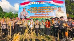 Tanam Jagung dan Panen Bersama Petani, Wujudkan Program Nasional Swasembada Bibit Dan Pangan Di Papua Barat