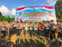 Tanam Jagung dan Panen Bersama Petani, Wujudkan Program Nasional Swasembada Bibit Dan Pangan Di Papua Barat